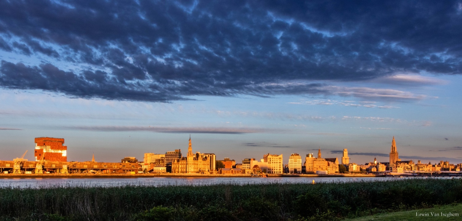 Antwerp Claris Engage U